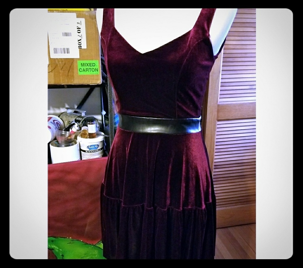 Windsor Crushed Velvet Skater Dress